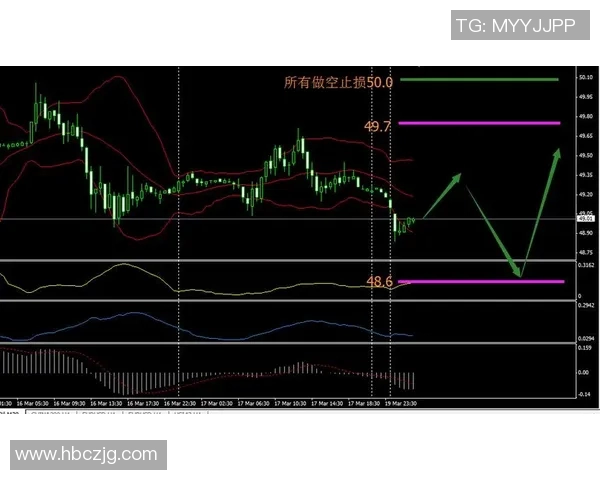 克罗地亚对秘鲁精彩赛事直播全程回顾与分析